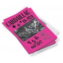 Brochures Publicitaires 